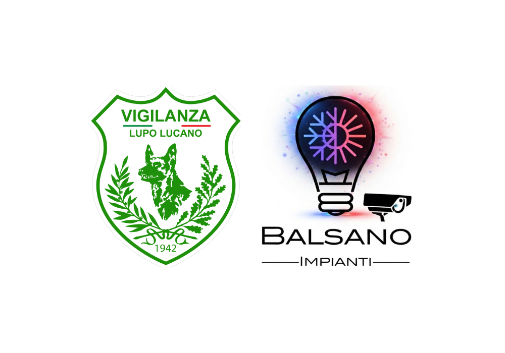 consorzio wolf security & solutions videosorveglianza cantieri fotovoltaici Basilicata
